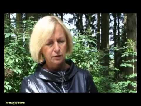 Archäologen entdecken Schlachtfeld im Harz