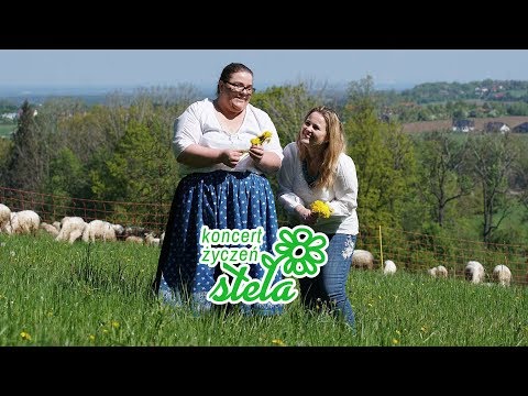 Koncert Życzeń Stela - Rocker Soul - Płomienie (Official Video)