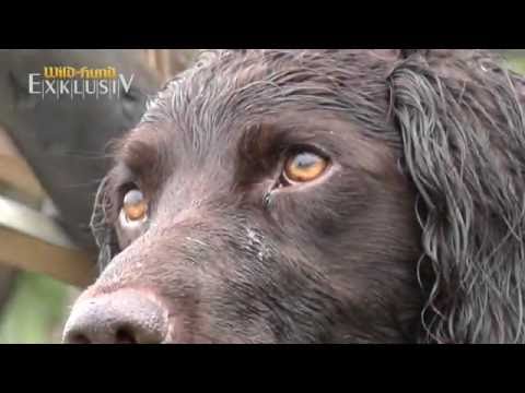 WILD UND HUND EXKLUSIV 48 - Der Solojäger