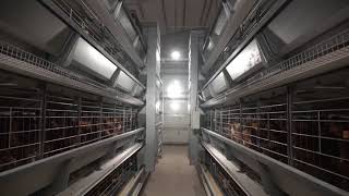 Download lagu H FRAME LAYER CAGE mp3