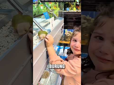 BURUNG ITU SEPUPU BURUNGNYA DULU😍