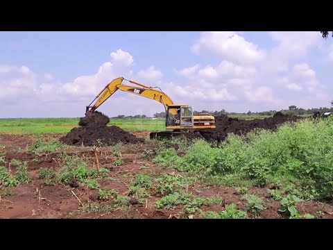 Wetlands Stakeholders: The Complex Web of Interests | Vibepedia