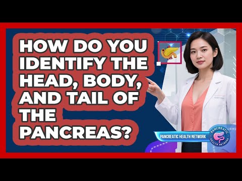 How Do You Identify The Head, Body, And Tail Of The Pancreas? - Pancreatic Health Network
