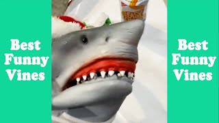 Shark Puppet Best of Funny Tik Tok 2025 | Shark Puppet