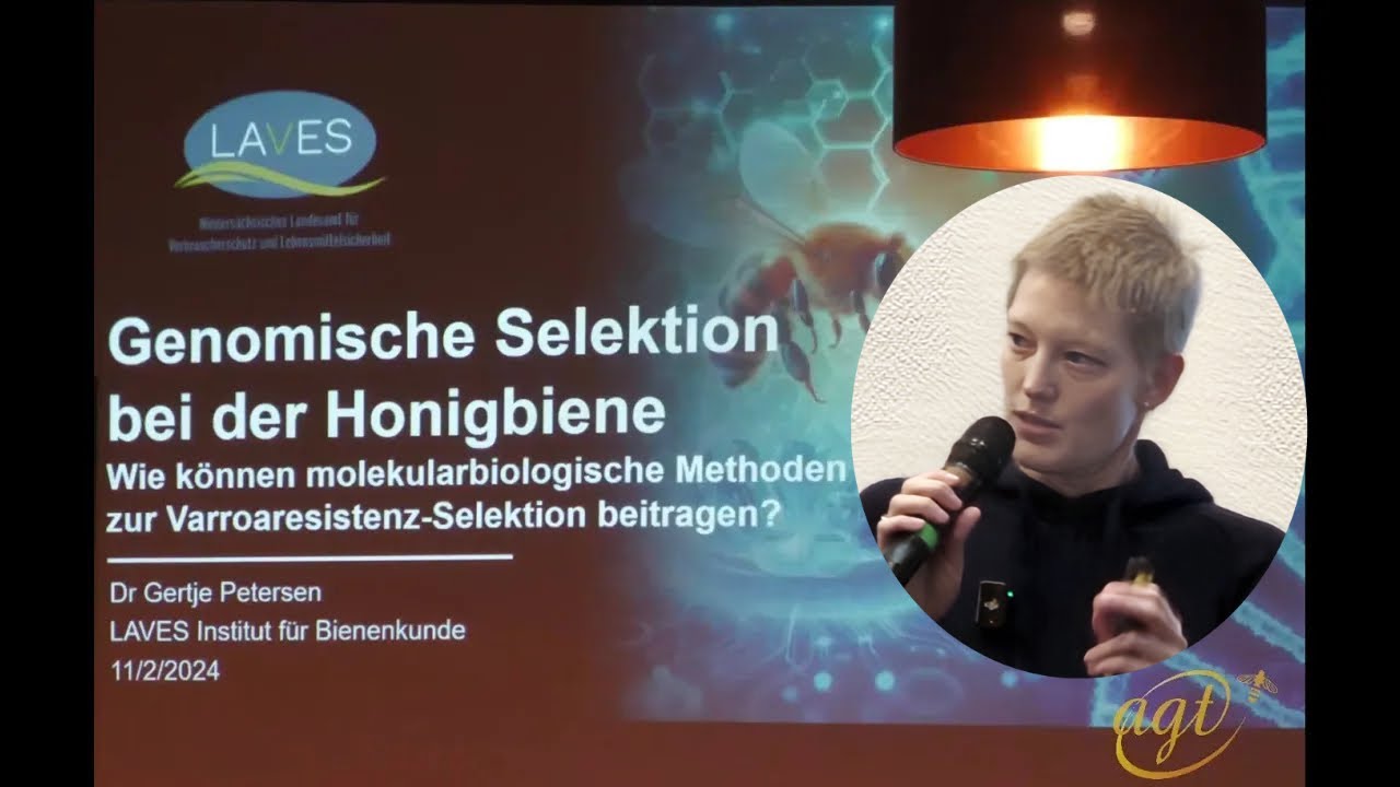 Genomische Selektion bei der Honigbiene - Dr. Gertje Petersen. 3 Arbeitstagung Hofgeismar.