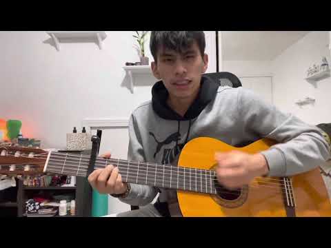 El Sapito - Maicol Muchavisoy ( cover ) | música de medicina