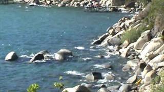 dariush (labe darya)