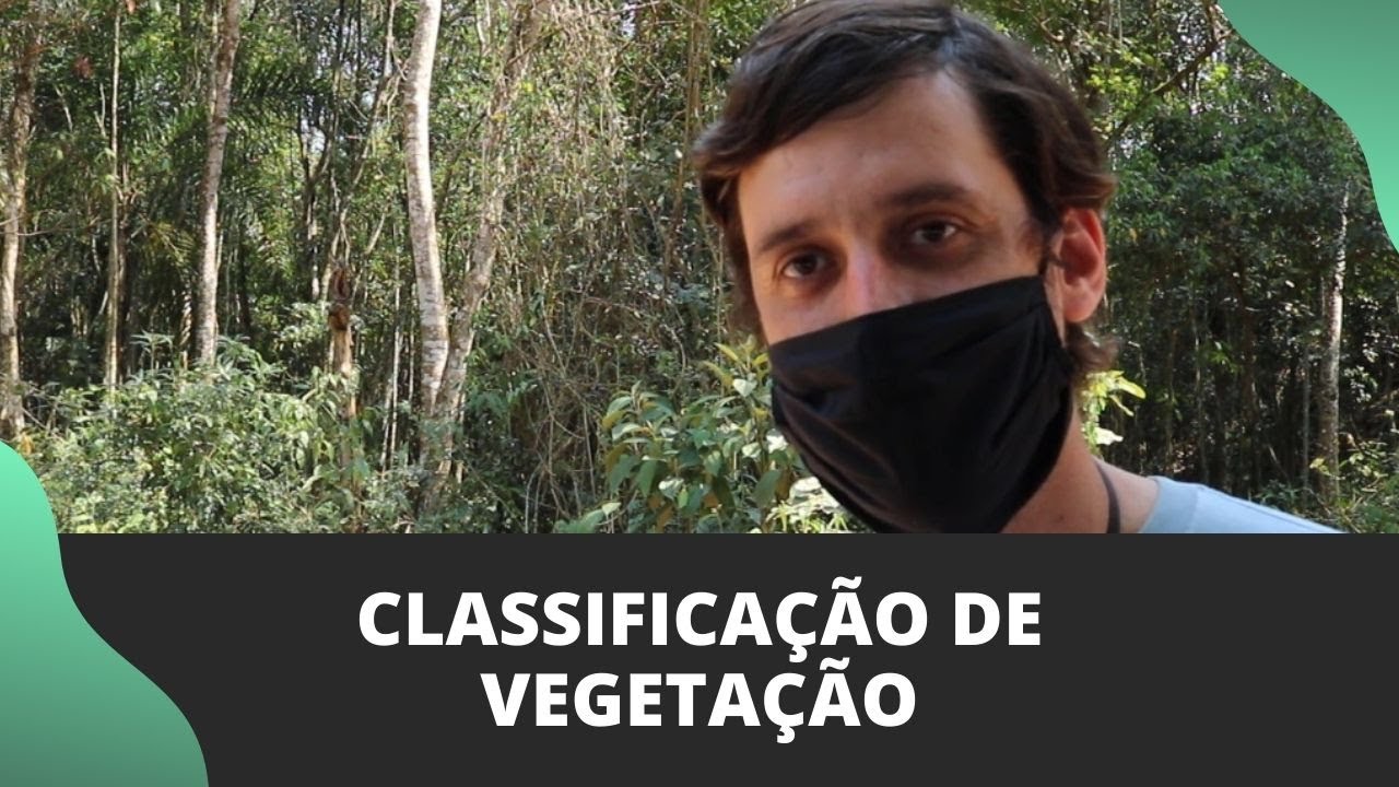 POR QUE PRECISAMOS SABER CLASSIFICAR UMA VEGETAÇÃO NA CONSULTORIA AMBIENTAL?
