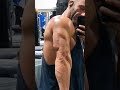 triceps at 240lbs