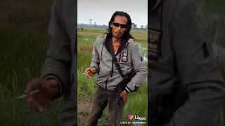 Download lagu Suara pikat burung belibis ampuh mp3