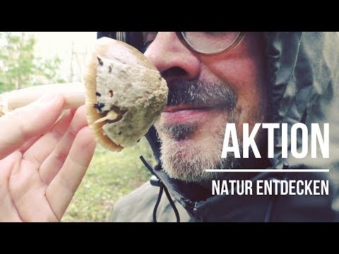 Aktion: Natur entdecken | EXPEDITION #9 | GRÜNES