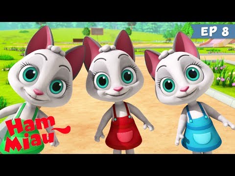 Ham Miau 🐶 Cum sa le faci pe toate 🐱 Desene animate