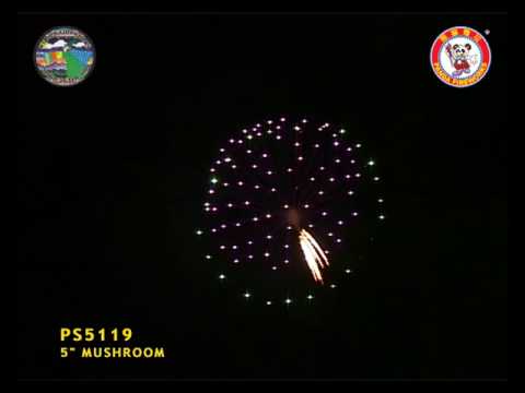 SD125OT04 - 5 INCH SHELL - WIZARD FIREWORKS - PS5119