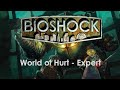 Bioshock World Of Hurt Expert