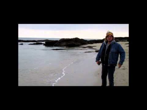 Jean-Pierre François Valery - Je te survivrai