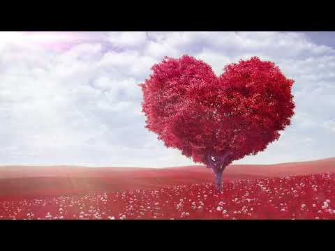 Guided Meditation - 698 Hz | Heart Awakening | Expanding into Universal Love
