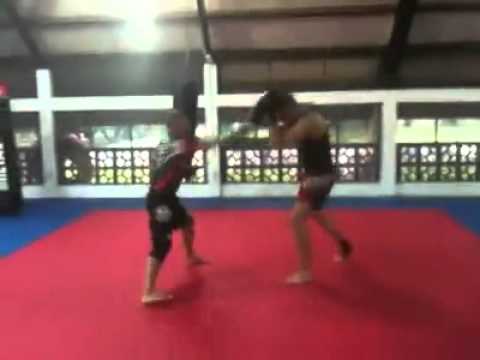 Jaspion Mma
