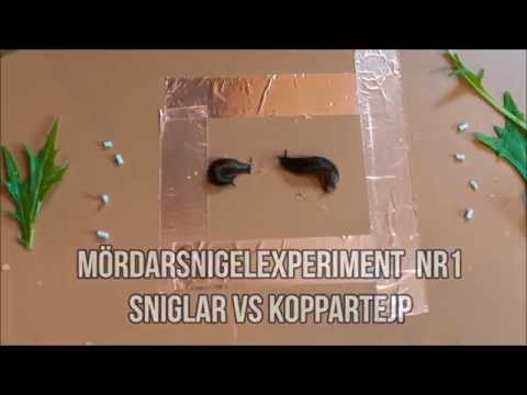 Mördarsniglar VS Koppartejp