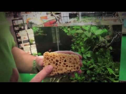 Watch Video on YouTube