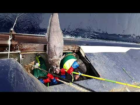 San Aotea 2 2019 Antarctica