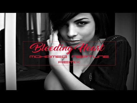 David Vendetta Feat Rachael Starr - Bleeding Heart (Mohamed Neptune Rework)