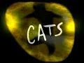 CATS, Ballad of Billy McCaw