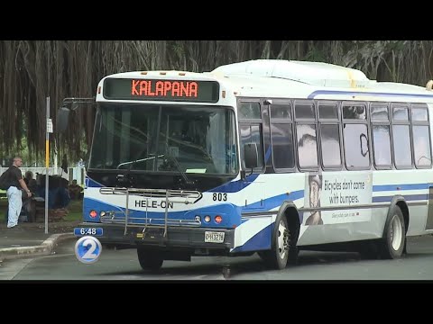 Always Investigating Mass Transit Mess