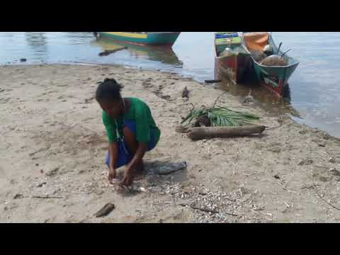 Kekayaan alam Kampung Onar Lama, Kab. Teluk Bintuni