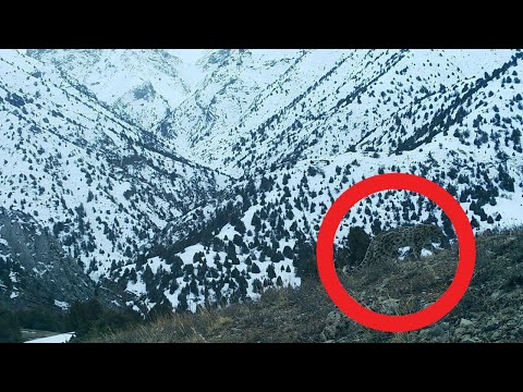 КАШКАДАРЁДА КОР КОПЛОНИ ЯШИРИН КАМЕРАГА ТУШИБ КОЛДИ