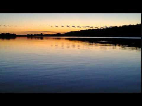 Michael E   Great Collection