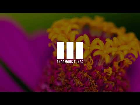 Passenger 10 - Jugaad
