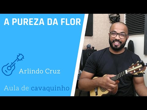 A Pureza Da Flor - Arlindo Cruz