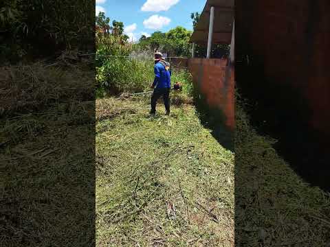 limpeza do meu terreno em Guaraci pr