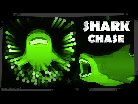 Shark Chase