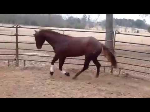 Cromed Out Sunset 3/4/15