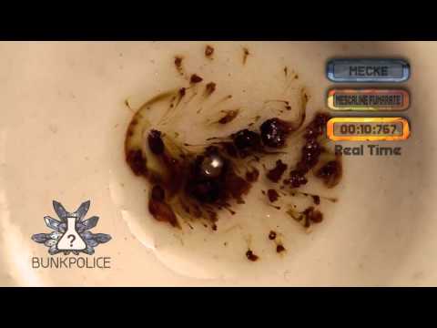 Mescaline Fumarate - Mecke Reagent - Normal Test Kit - Bunk Police