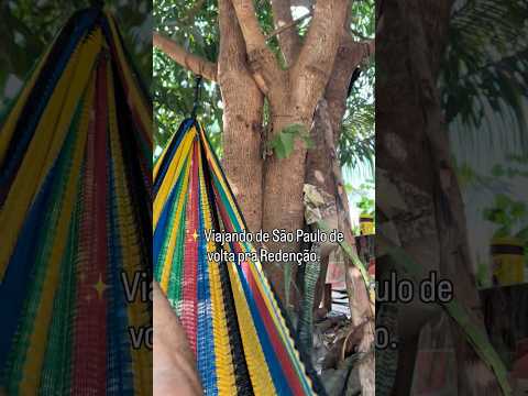 Vlog: de São Paulo de volta pra Redenção-Para