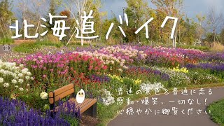 北海道バイク - おこめ、真っ直ぐな道を走る