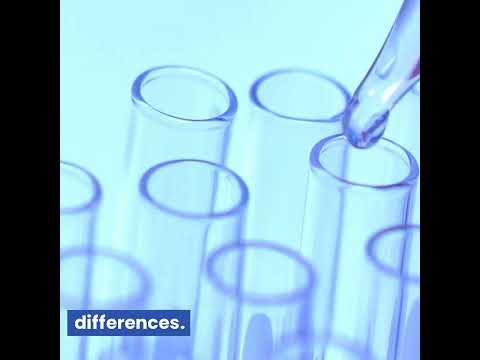 Gram Positive vs Gram Negative | Technology Networks