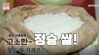 밥맛/입맛 제대로 살리는 정승쌀~! 강력 추천드립니다!