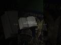 Surah Ash Sharh Allah Quran Recitation Calm Peace Shorts Allahuakbar