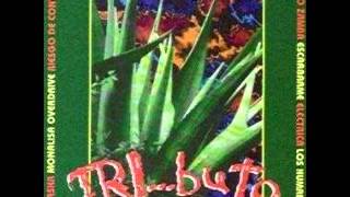 Los Lagartos - Vicioso