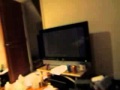 MVI 4103 Sesame Street Episodes