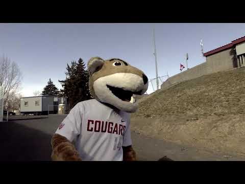 WSU BSB: How to enter Bailey-Brayton Field in 2020!