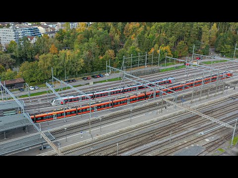 Der Treno Gottardo in Arth-Goldau