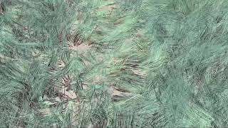 &quot;Alive Without Medicine&quot;  By Richard Starbuck