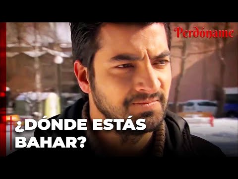 Kemal va en busca de Bahar - Perdóname