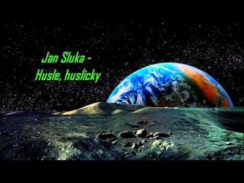 Jan Sluka - Hulse, huslicky