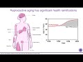 Women S Health Insights In Research And Inclusion