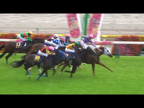 【オークス2026】今村聖奈騎手とジュウリョクピエロが歴史へ挑む|女性騎手初クラシックの激闘